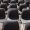 The Empty Chair in the Last Row