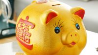 The Piggy Bank
