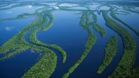 The River That Refused the Sea