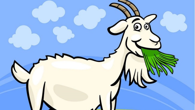 Sammy the Goat and the Magic Melon