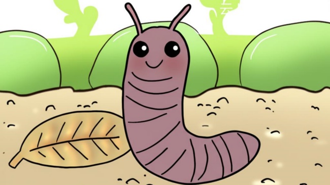 The Earthworm in the Soil