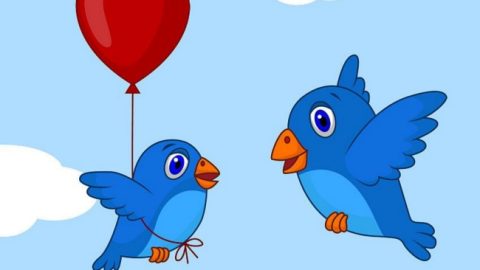 The Little Bird Who Couldn’t Fly