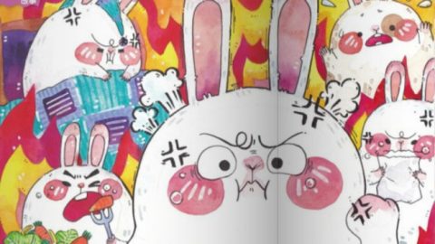The Puffy Little Rabbit