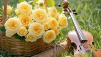 The Violin on the Grass